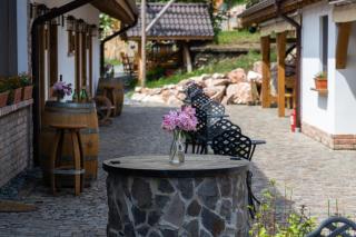 Complex Butoaiele Transilvaniei - Cazare & SPA - Natura - Relaxare - 4