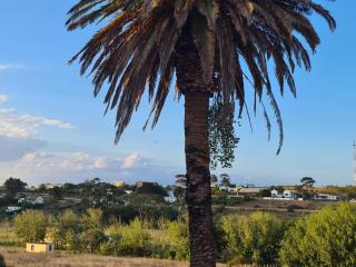 The Restio Country Guesthouse - 7