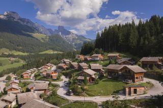 Alpendorf Dachstein West by ALPS RESORTS - Annaberg im Lammertal - 5