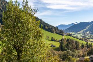 Zauberhütte Wildschönau - 3