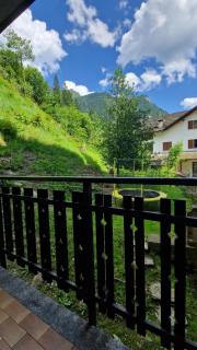 Il Bucaneve - Mollia - 4