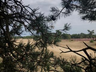 Het Natuurhuisje op de Veluwe - Nunspeet - 8