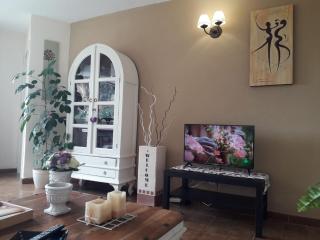 Acogedora Vivienda de Maria - Santa Cruz de la Palma - 8