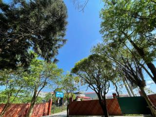 Thanh Dat 1 Hotel - 8