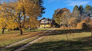 Studio de plain-pied dans un chalet - Mens - 6