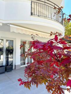 Apartment with private pool Kotor, Ljuta - 1