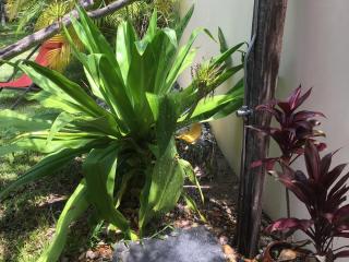 La Villa de la Plage - 2