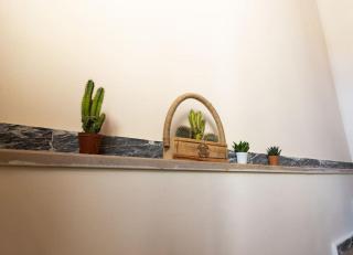 Müstakil, Klimalı, Merkezde,Dubleks,Teraslı,Büyük - 9