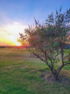 Cozy Coastal Retreat - Port Lavaca - 3
