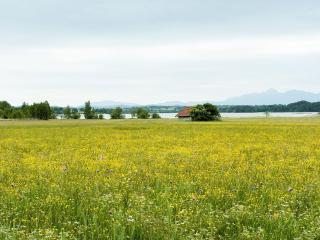 Apart Pension Vita Stafnensis - Seehausen am Staffelsee - 8