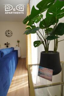 Pine Tree House 5 D&D Apartments - Międzywodzie - 9