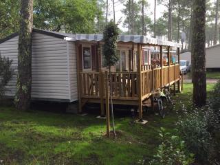MH 557 TOUT confort 40m2 3ch 2 sdb en lisière de forêt dans camping 4 étoiles - Saint-Julien-en-Born - 9