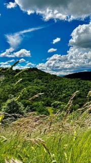Cute stone cottage in Provence - 8
