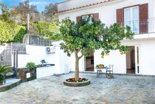 Clementine Country House - Massa Lubrense - 7