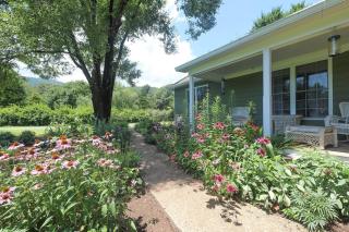 Blue Rivers Cottage & Loft - Avon - 9
