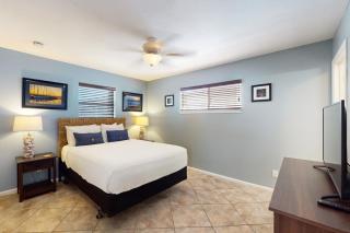 Sunflower Hello - Port Aransas - 2
