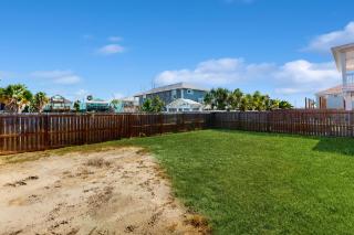 Sunflower Hello - Port Aransas - 1