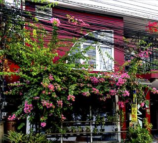 Phuket Paradiso - Chalong - 5