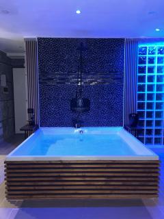 The Spa Suite - 1