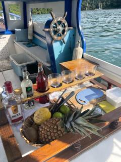 Passeio de barco em Paraty - Paraty - 5