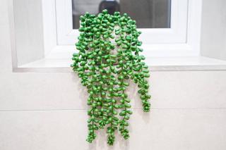 Easy 2 Manage Wisteria House, Heathrow Retreat, Free Parking - 5