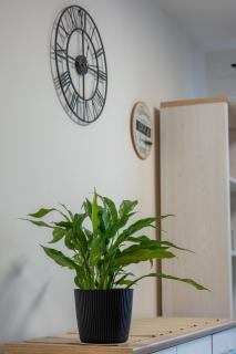 VIP Apartamenty Wieniawskiego - Rzeszów - 3