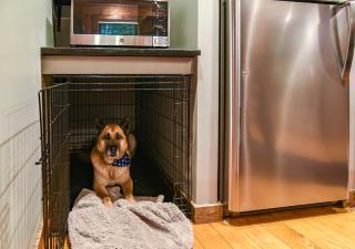 Veteran Host Pets Allowed Sleeps 4 No Minimum Nights - 4