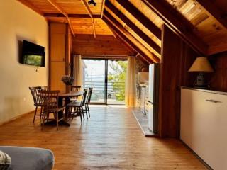 Loft frente a la playa y Teatro - Frutillar - 1