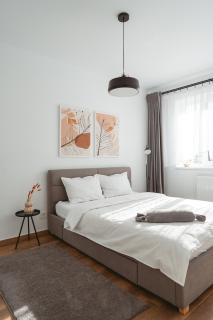 The Palm 2 Apartment - family friendly, parking, central, self check-in - Oradea - 5