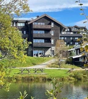 Fjellparken 351 - Beitostøl - 1