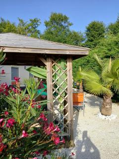 Les vignobles du Bordelais - 7