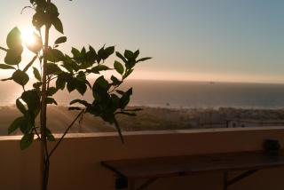 Monkey's Guest House - Ocean View Rooms & Apartment with Rooftop - 8