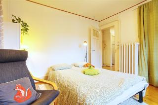 Le bananier sur le lac avec terrasse et parking privé - 4