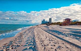 Family and Pet-Friendly Miami Beach Suite Beside Oceanside Park & Bark Beach - 7