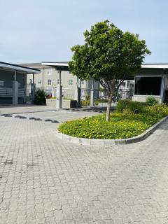 Dune crest - Kapstadt - 2