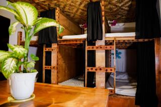 Yes Surf Siargao - General Luna - 8