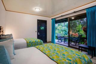 Arenal Manoa Resort & Hot Springs - Fortuna - 5