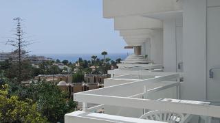 Ponderosa, central las americas - - 0
