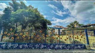 La Casa de los Pajaros - 8