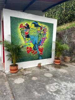 La Casa de los Pajaros - 5