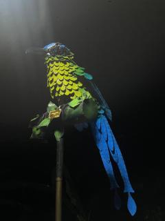 La Casa de los Pajaros - 1