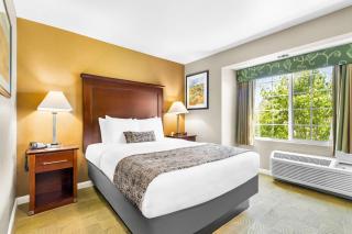Best Western California City Inn & Suites - California City - 4