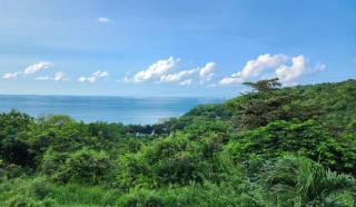 Halcyon Heights Condominium - Dickenson Bay - 7
