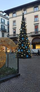 Villa oleandro - Novara - 3