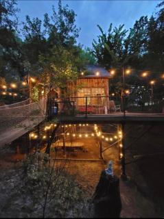 Hobbit Treehouse with waterfall on the Brazos River! 350 acres! Tubing! Petting zoo! - Weatherford - 5
