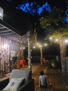 "Magical Treehouse" w spiral slide off the deck 350 acres on the Brazos River! Tubing! Petting Zoo! - 9