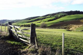 hill view apartment - Welshpool - 0