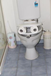 hill view apartment - 4