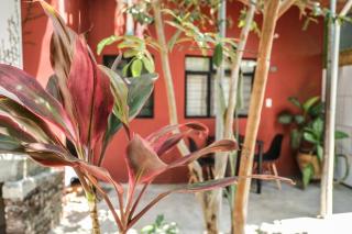 chill green beautiful downtown area TV good Wifi - Città di Oaxaca - 7