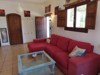 Beautiful private outdoor patio - Órgiva - 2
